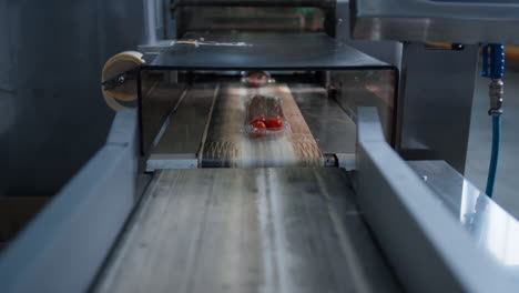 closeup conveyor belt tomato packing process by automated mechanical line