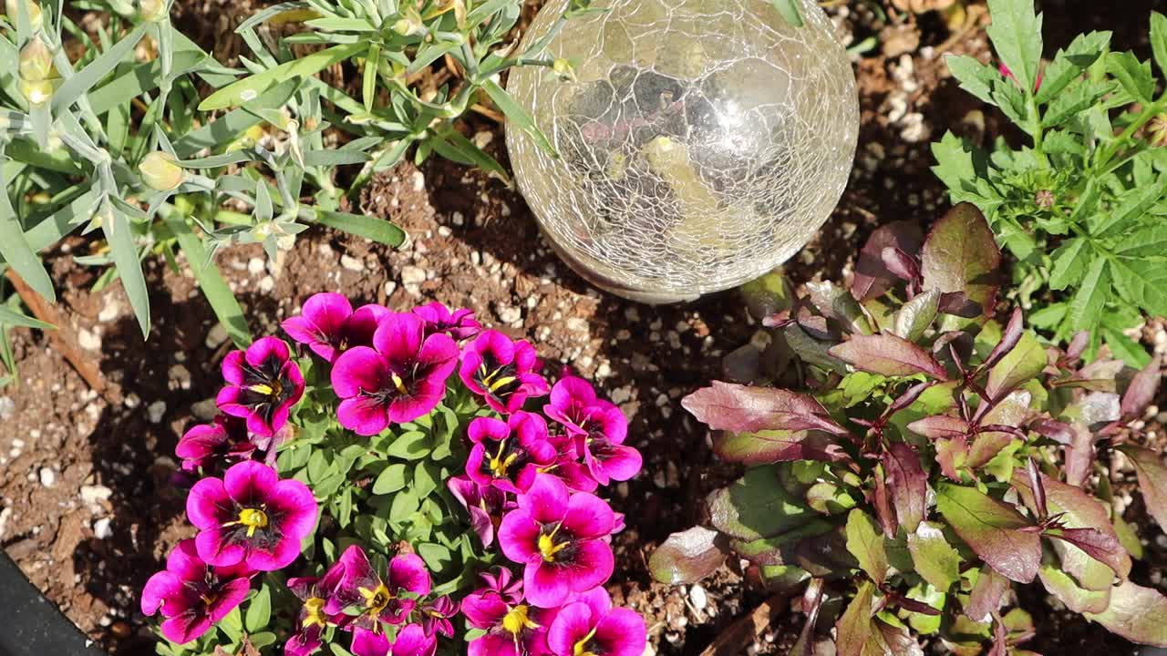 plantar en la terraza de una jardinera con luz solar