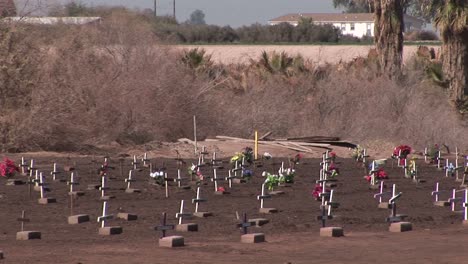 un cementerio está lleno de hileras de tumbas marcadas con pequeñas cruces