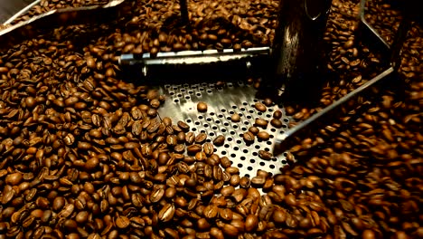 los granos de café en el molinillo. café fresco en la máquina de café profesional. aroma, fondo.