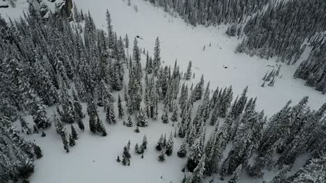 Drone-panning-from-straight-down-to-horizontal-to-reveal-mountains-in-winter