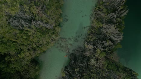 ascendiendo girando antena de kayaks en el río por los bosques verdes, filipinas