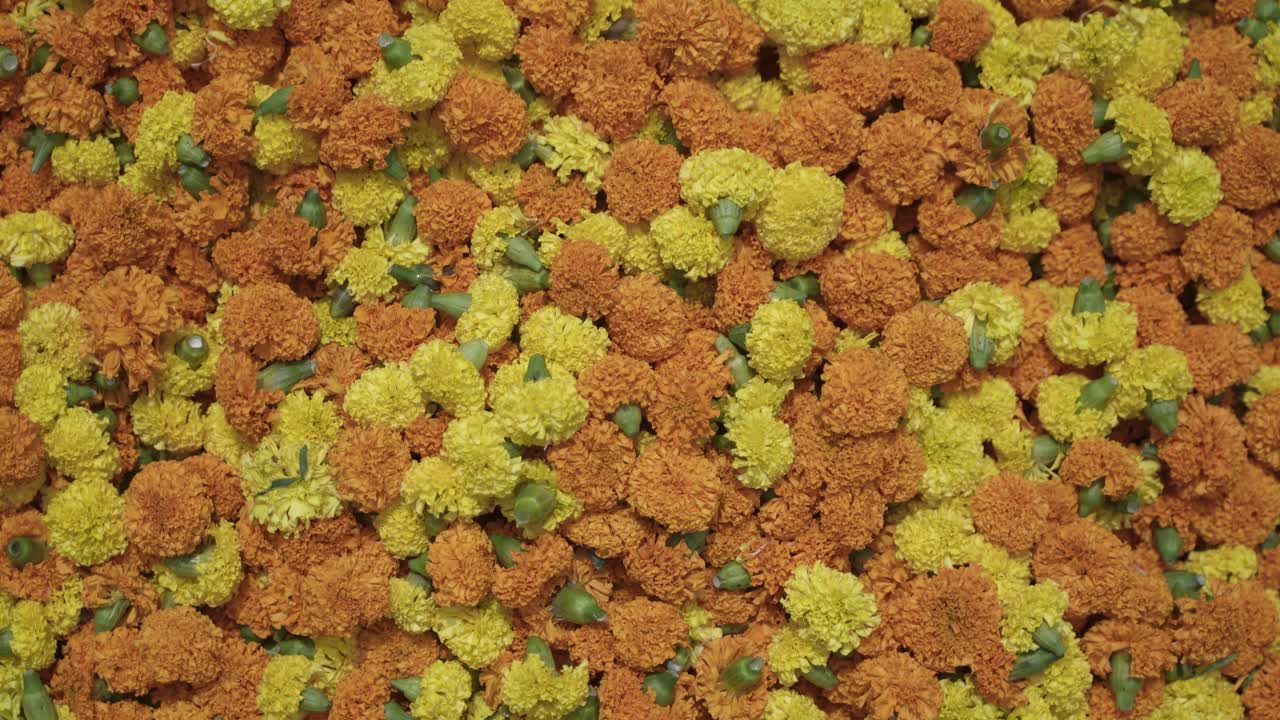 시장에서 메리 금 꽃을 판매하는 것