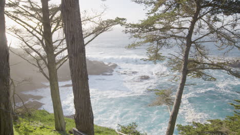 Toma-Estacionaria-Del-Océano-Pacífico-A-Través-De-Los-árboles-En-La-Ladera-De-Una-Montaña-En-Big-Sur-California