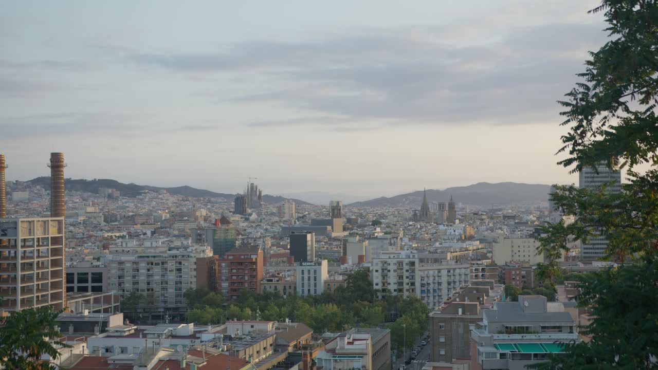 Hi Res View Through Scenic Trees 3rd Angle, Barcelona Spain City Skyline with Golden Sunrise in 6K as Birds Fly