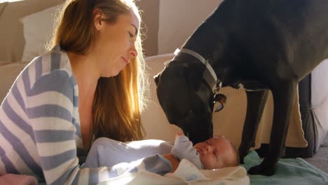 mother with her baby boy and pet dog 4k