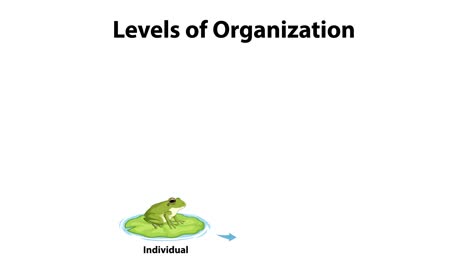 educational progression of ecological organization levels.