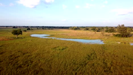 aerial landscape, mamili swamp in northen namibia