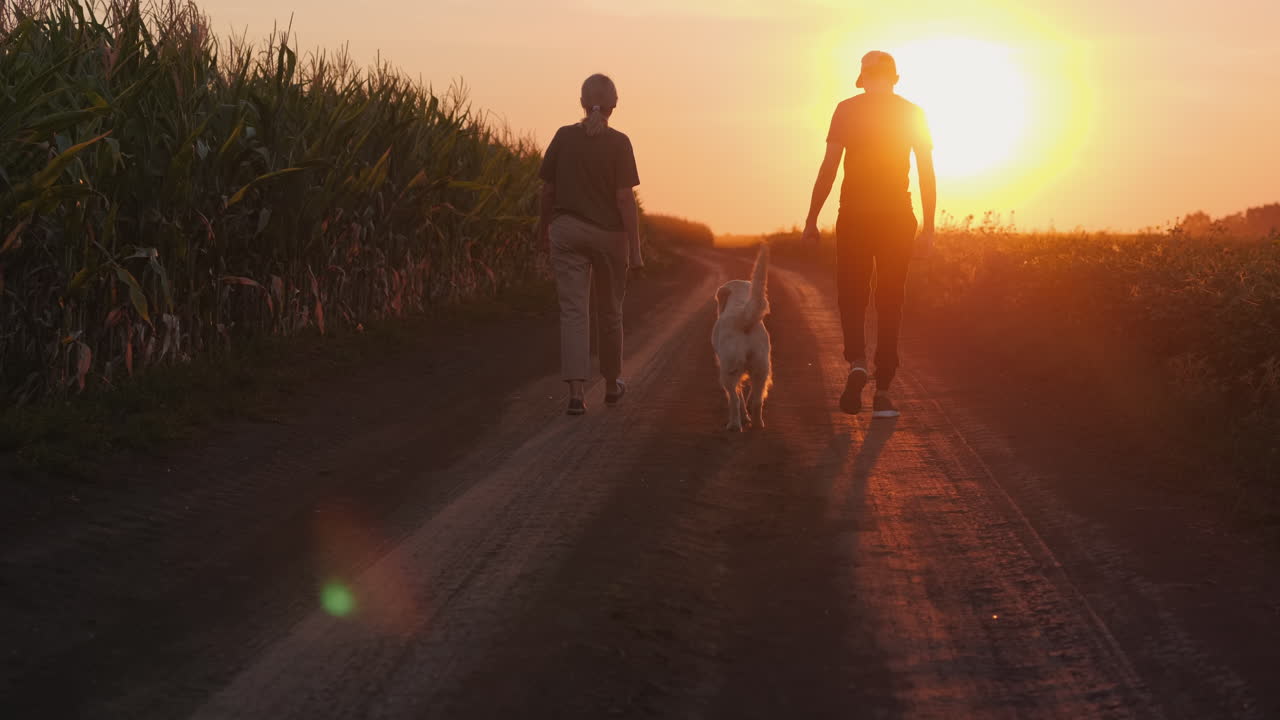 una pareja y un perro caminando por un camino de campo al atardecer