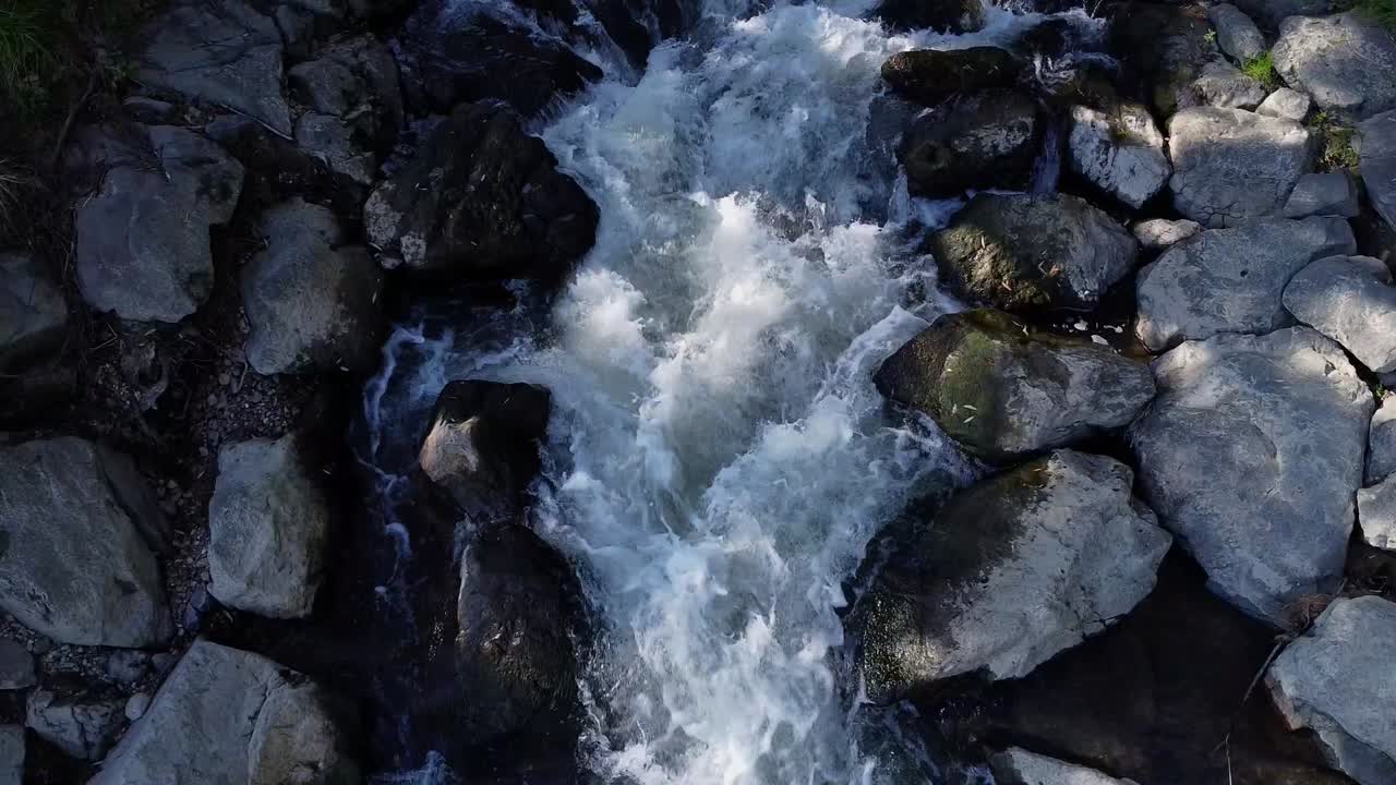 Fiume con sassi e alberi ai lati