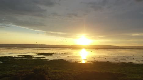 aves en vuelo sobre un paisaje rural pintoresco