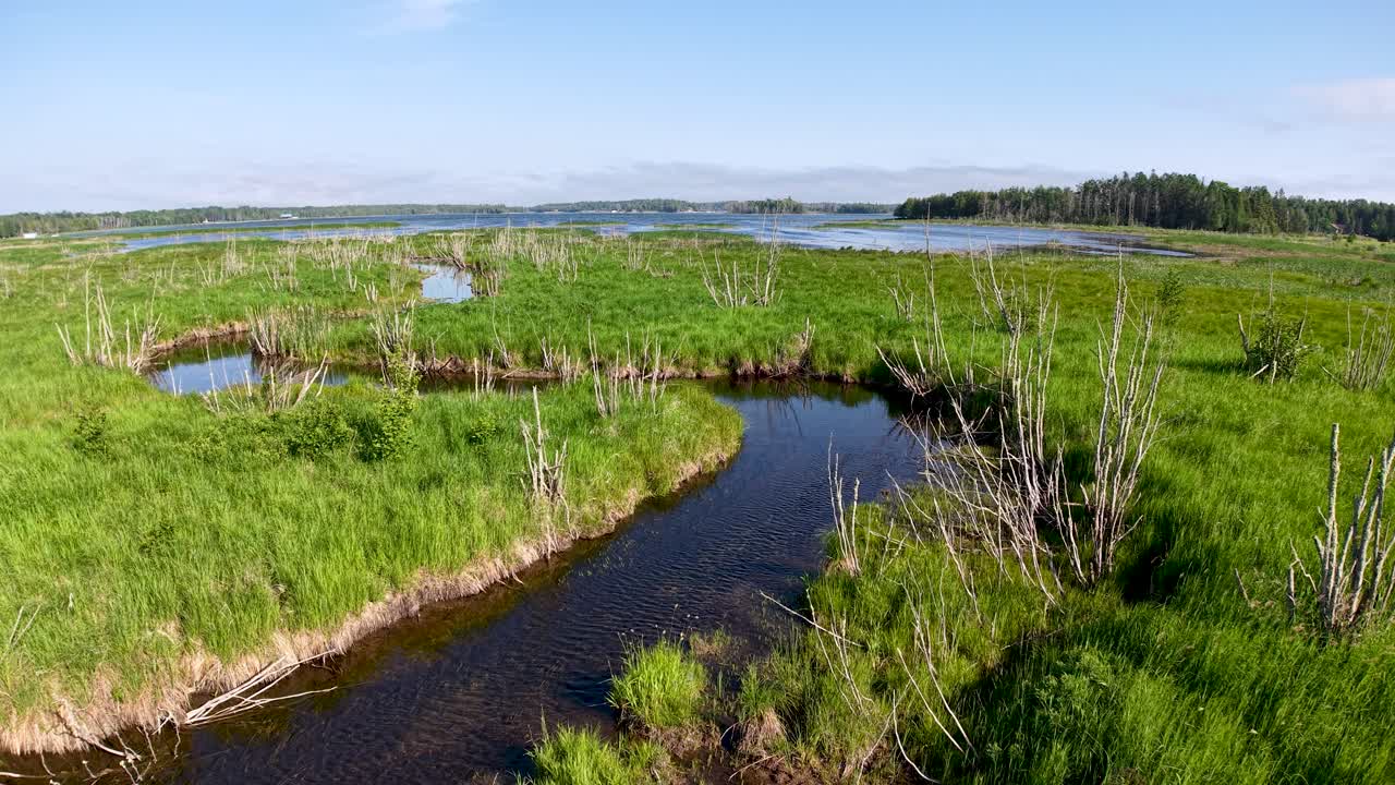 Aerial drone view of a calm stream winding through lush green marshland under a clear summer sky