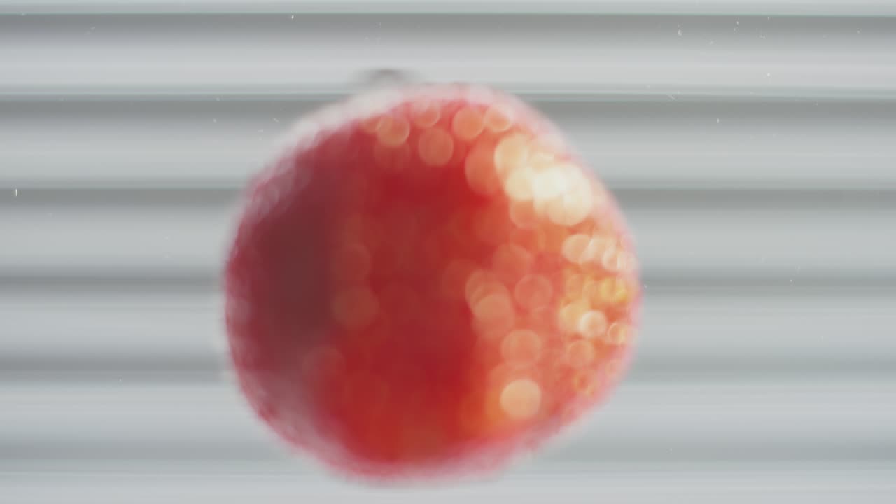 Fragola che cade su una superficie trasparente, schiacciandosi e spargendosi.