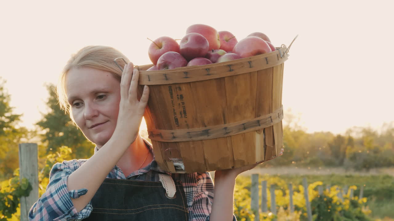 un agricultor sostiene una canasta con manzanas rojas maduras, un pequeño jardín y un concepto de productos orgánicos
