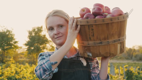 a farmer holds a basket with ripe red apples small garden and organic products concept