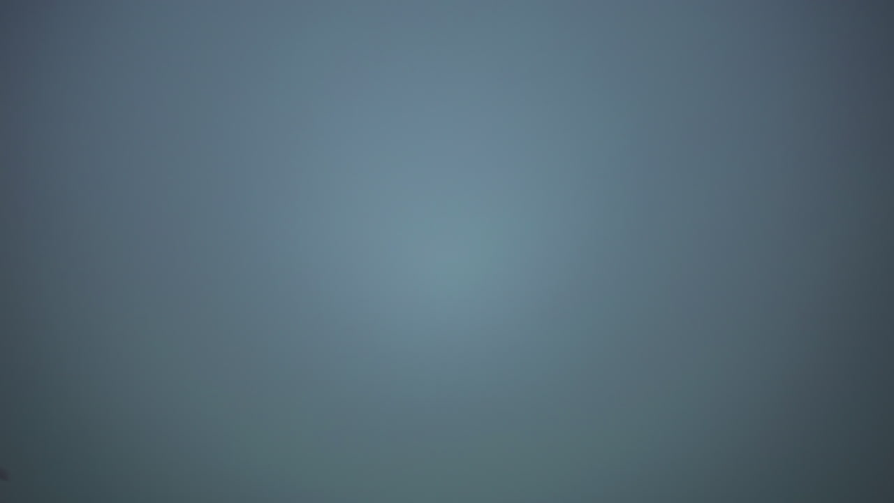 una zona montañosa boscosa se hace completamente invisible por la niebla creciente