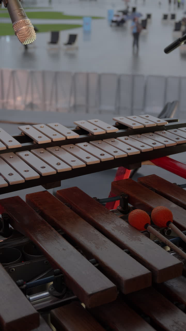 Outdoor Concert Percussion Instruments