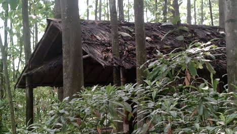 Refugio-En-Medio-De-La-Selva