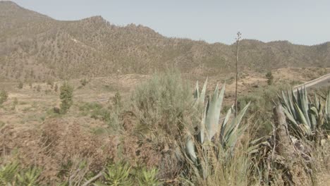 Driving-on-a-desert-road,-between-mountains,-on-a-sunny-day,-in-Gran-Canaria