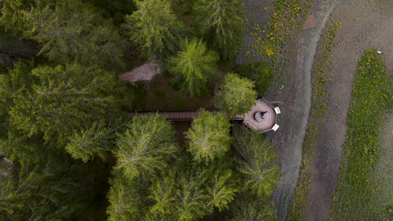 나무 로 만든 산책로 를 통해 방문자 들 은 섬세 한 숲 과 습지 를 방해 하지 않고 톨블라차르 해역 을 탐험 할 수 있다