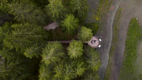 a raised wooden walkway allows visitors to explore the tolblachar see without disturbing the delicate forest and wetlands