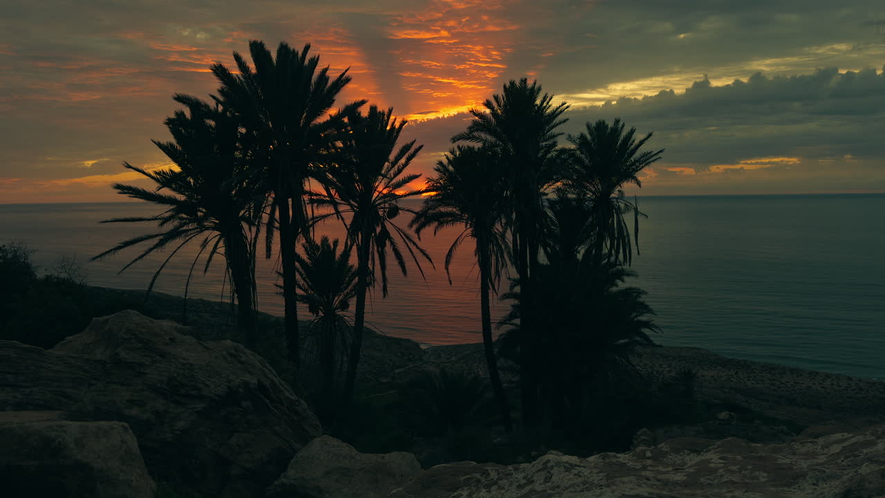 puesta de sol sobre el océano con palmeras