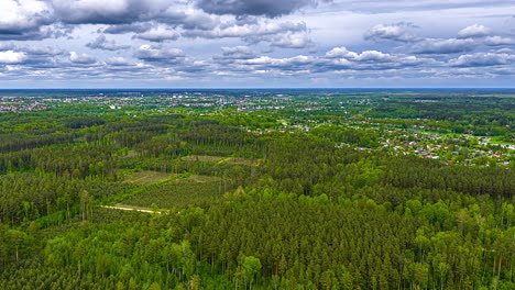 Drone hyperlapse of dense forest landscape toward small town under cloudy sky