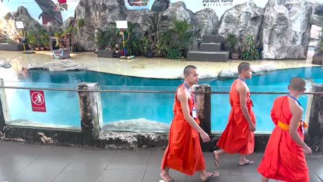 los monjes pasean por una piscina en el zoológico.