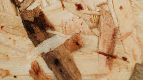 closeup of wood fiber texture