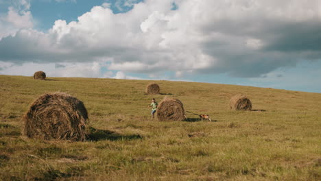 los hermanos disfrutan de un momento feliz corriendo alrededor de balas de heno en una vasta tierra de cultivo con su perro, los niños exploran la naturaleza, riendo y jugando bajo un cielo brillante