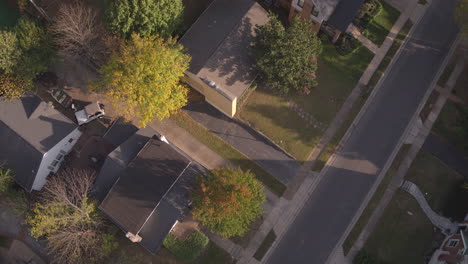 flyover houses and trees in a suburban neighborhood in st