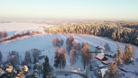 密集雪地森林包圍的小農村農場,空中飛行拍攝