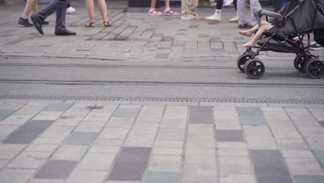 human feet walking on the street.