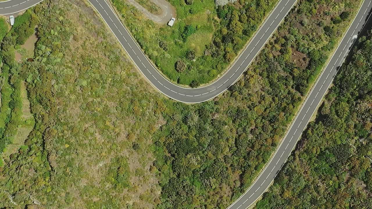 Bochtige weg door groen terrein in Tenerife, Spanje op een zonnige dag