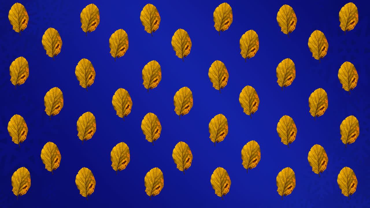 Animation of rows of autumn yellow leaves on blue background