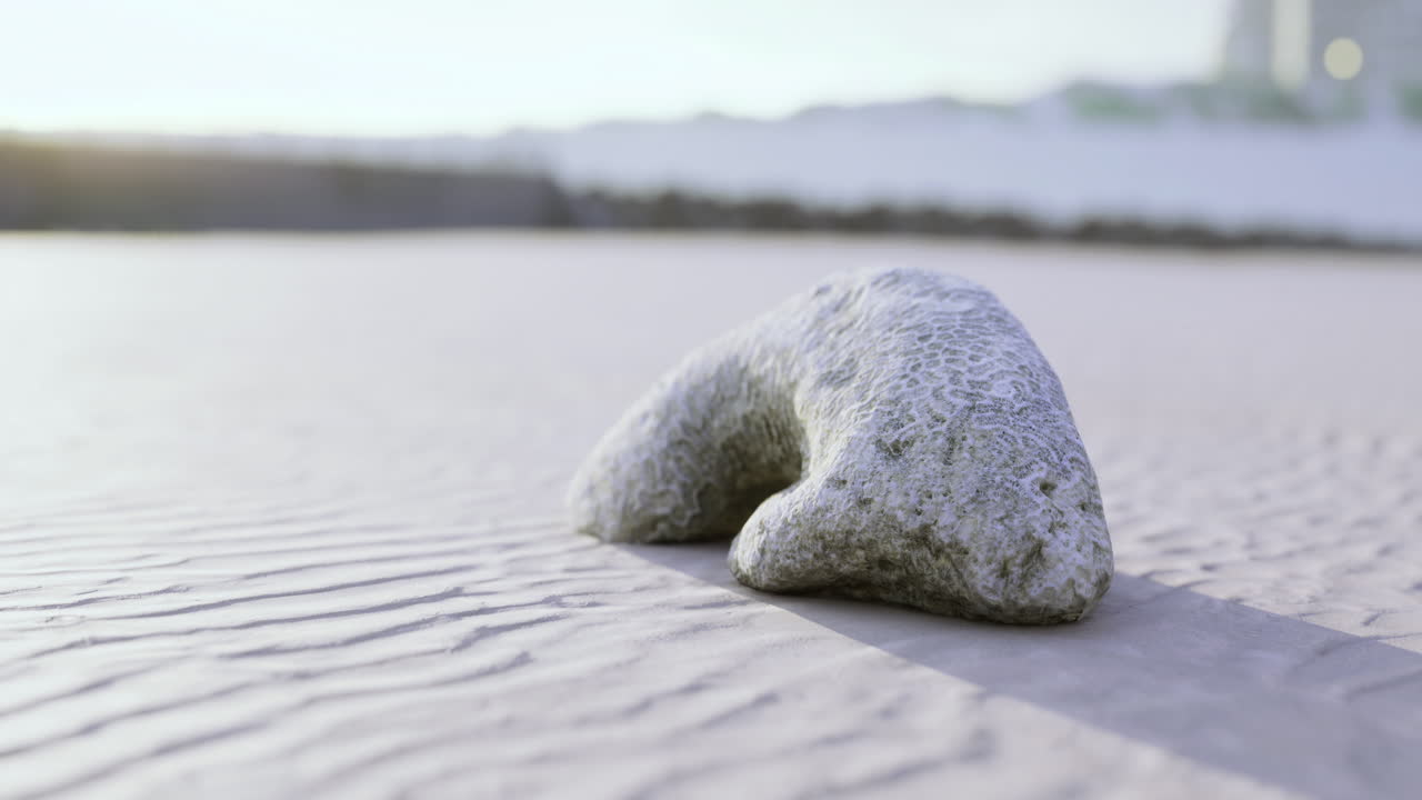 해안 도시 근처의 해가 지는 모래 해변에서 독특한 산호 형성