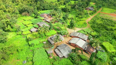 small village in forest bird eye 360d view