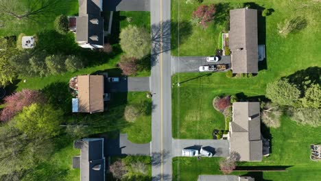 quaint small village in american during sunlight in spring season