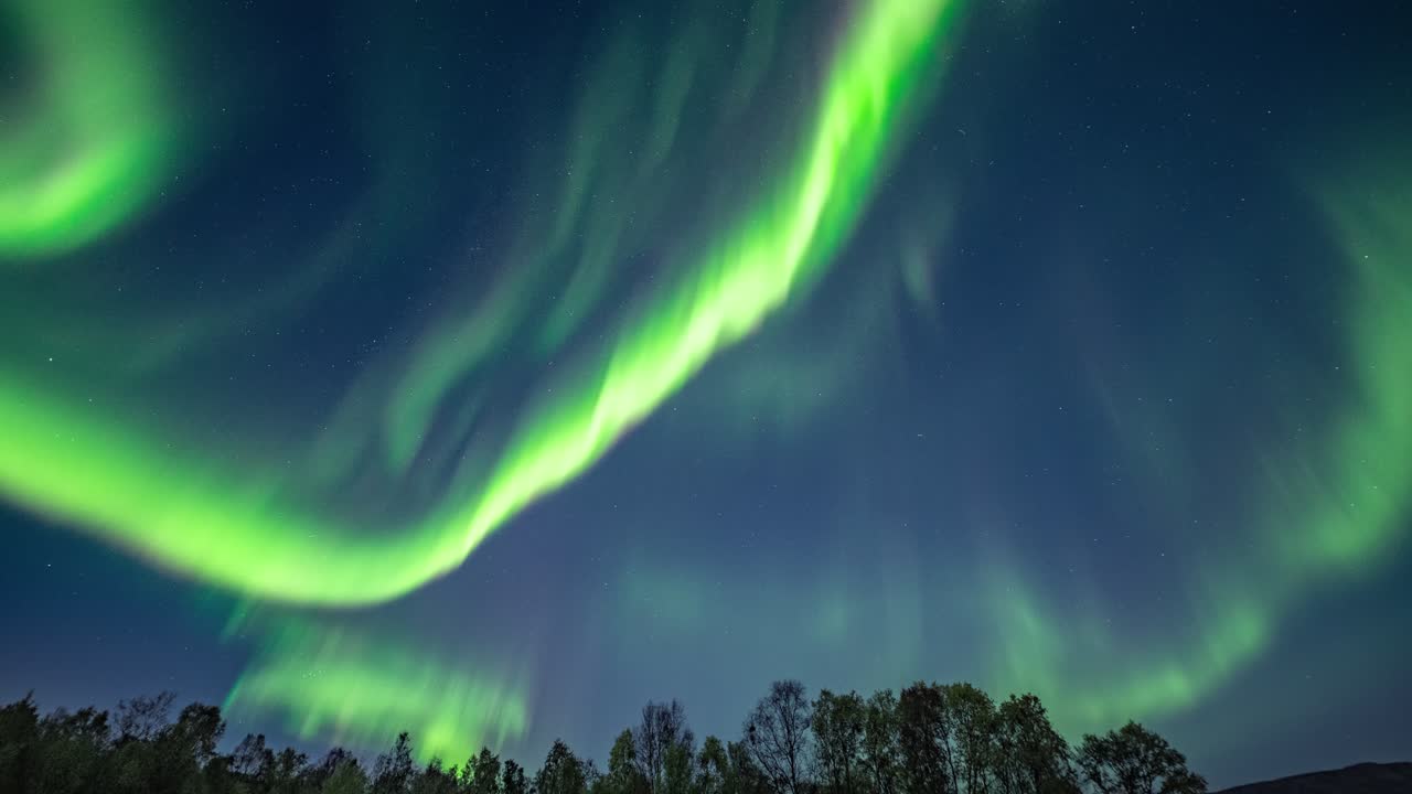 un hermoso espectáculo de luces en el cielo nocturno