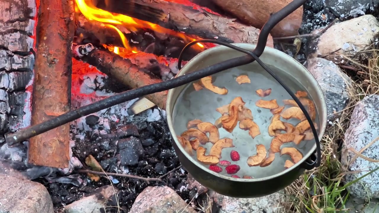 Una persona aggiunge mele essiccate e bacche selvatiche in una pentola su una fiamma di falò aperto. Ideale per attività ricreative all'aperto, sopravvivenza nella natura selvaggia e contenuti di ecoturismo.