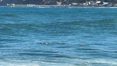 4k footage of ruff water ocean swimmers with large waves at high tide in la jolla cove in san diego california