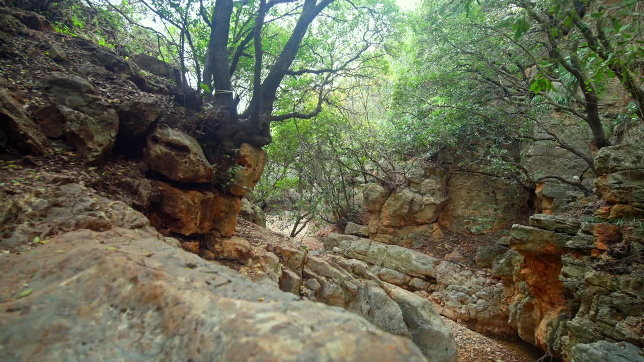 un cañón rocoso con robles en el norte de israel