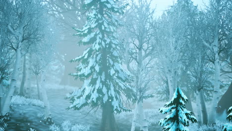 winter storm in a forest in winter