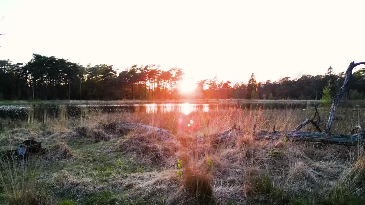 puesta de sol sobre un lago tranquilo en un bosque