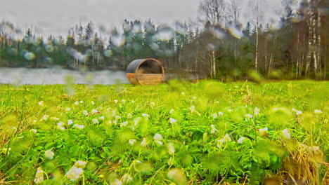 Frühnebel-Auf-Blühenden-Wildblumenfeldern-Mit-Thermo-Holzfasssauna-Am-Seeufer