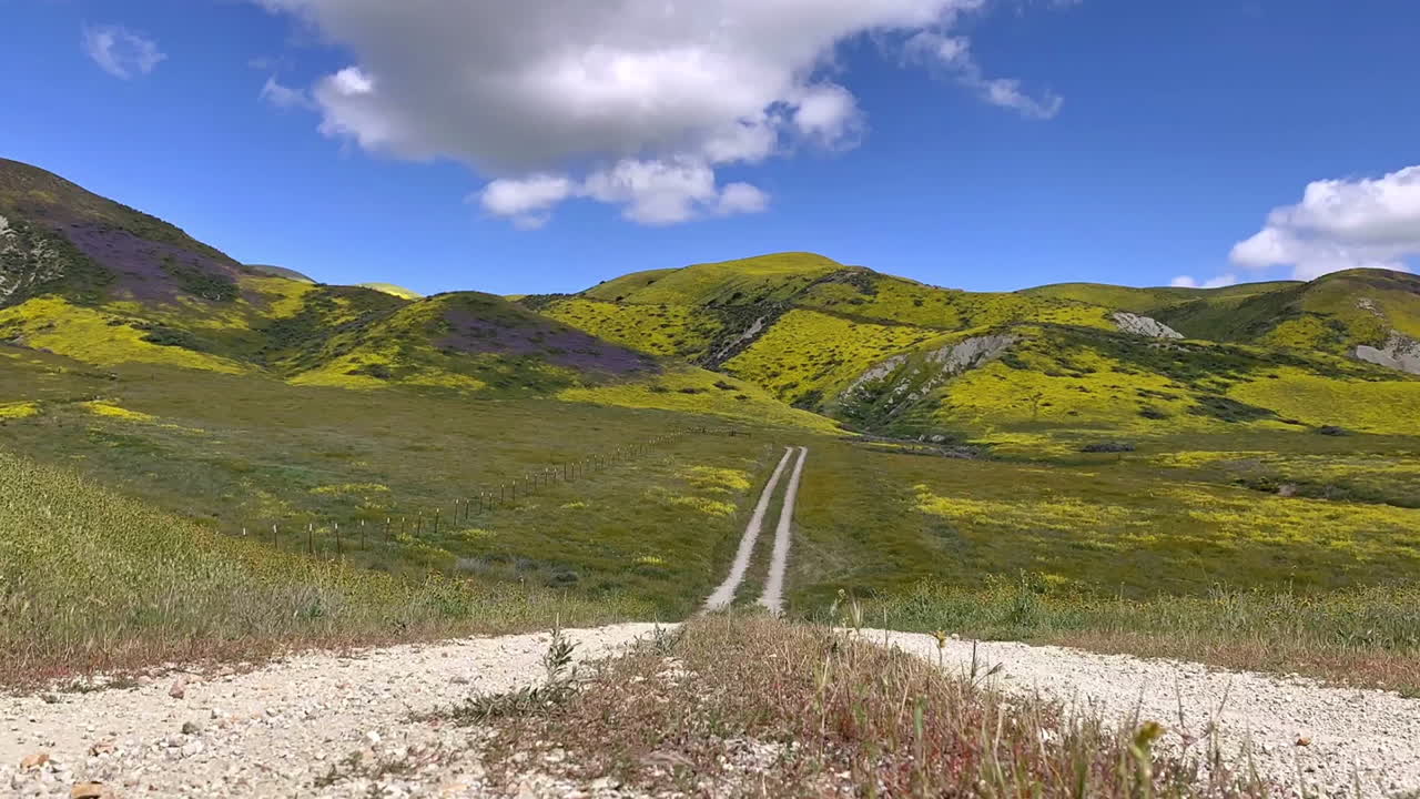 carrizo camino llano lapso de tiempo de nubes california wildflower superbloom con fotógrafoåê