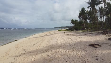 Orilla-De-La-Playa-Con-Palmeras-Saliendo-En-Filipinas