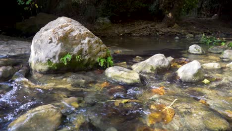 water flows in the kziv river, northern israel