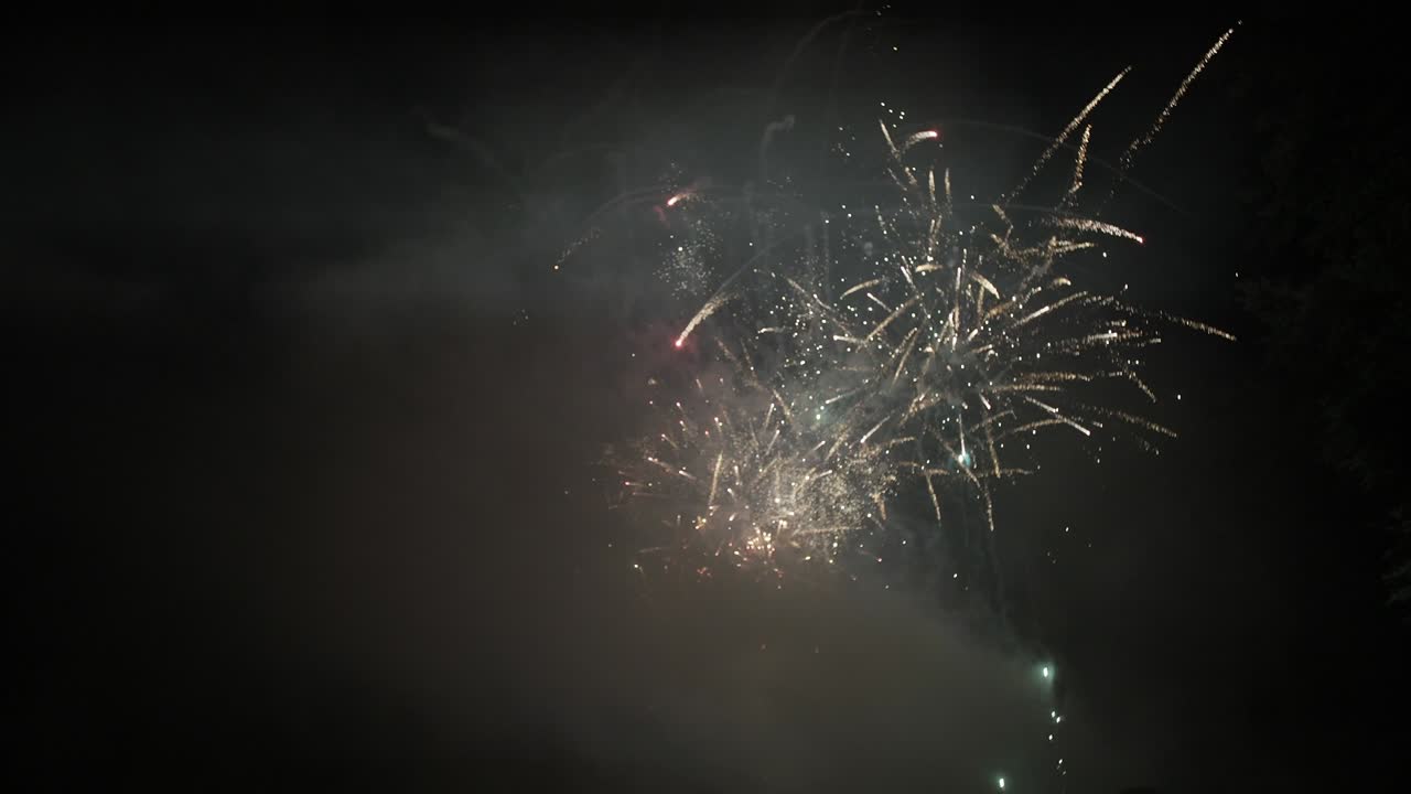Fuochi d'artificio nel cielo notturno vicino al mare