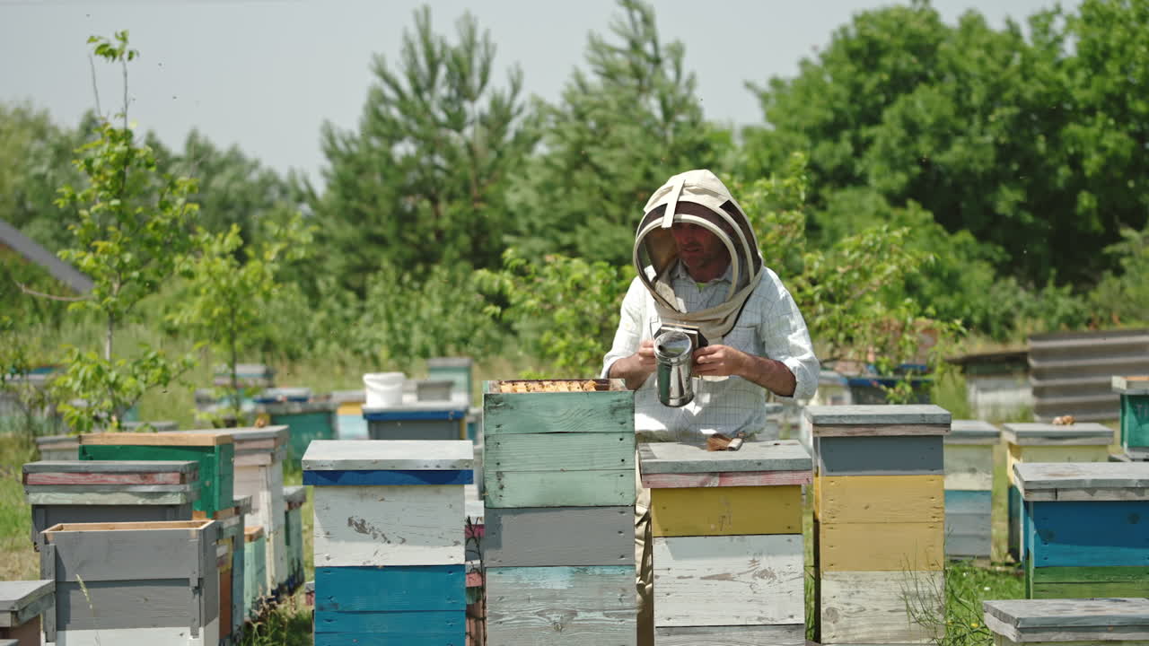 Uniformed man in protective hat examines bee hive at his farm. Man uses smoker to scare off the bees. Sunny day nature backdrop.
